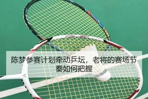 陈梦参赛计划牵动乒坛，老将的赛场节奏如何把握