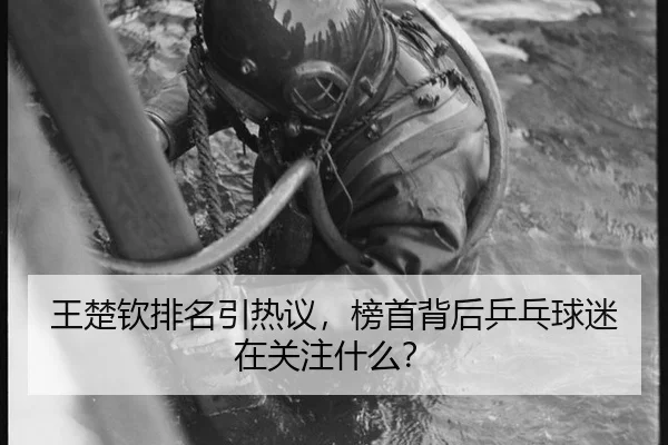 王楚钦排名引热议，榜首背后乒乓球迷在关注什么？